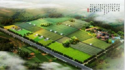 河南玄道农业科技有限公司